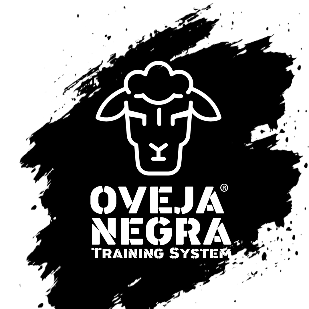 LOGO PINCELADO CON FONDO NEGRO OVEJA NEGRA.png